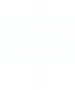 Fusion Chowk